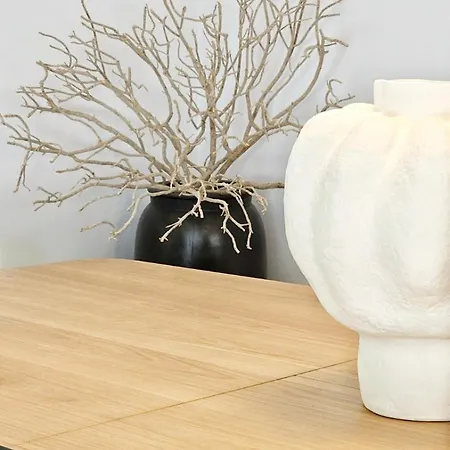 Willa Tropical House In And Conceicao De